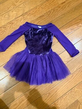 Bloch Purple Velvet Tulle Ballet Dress